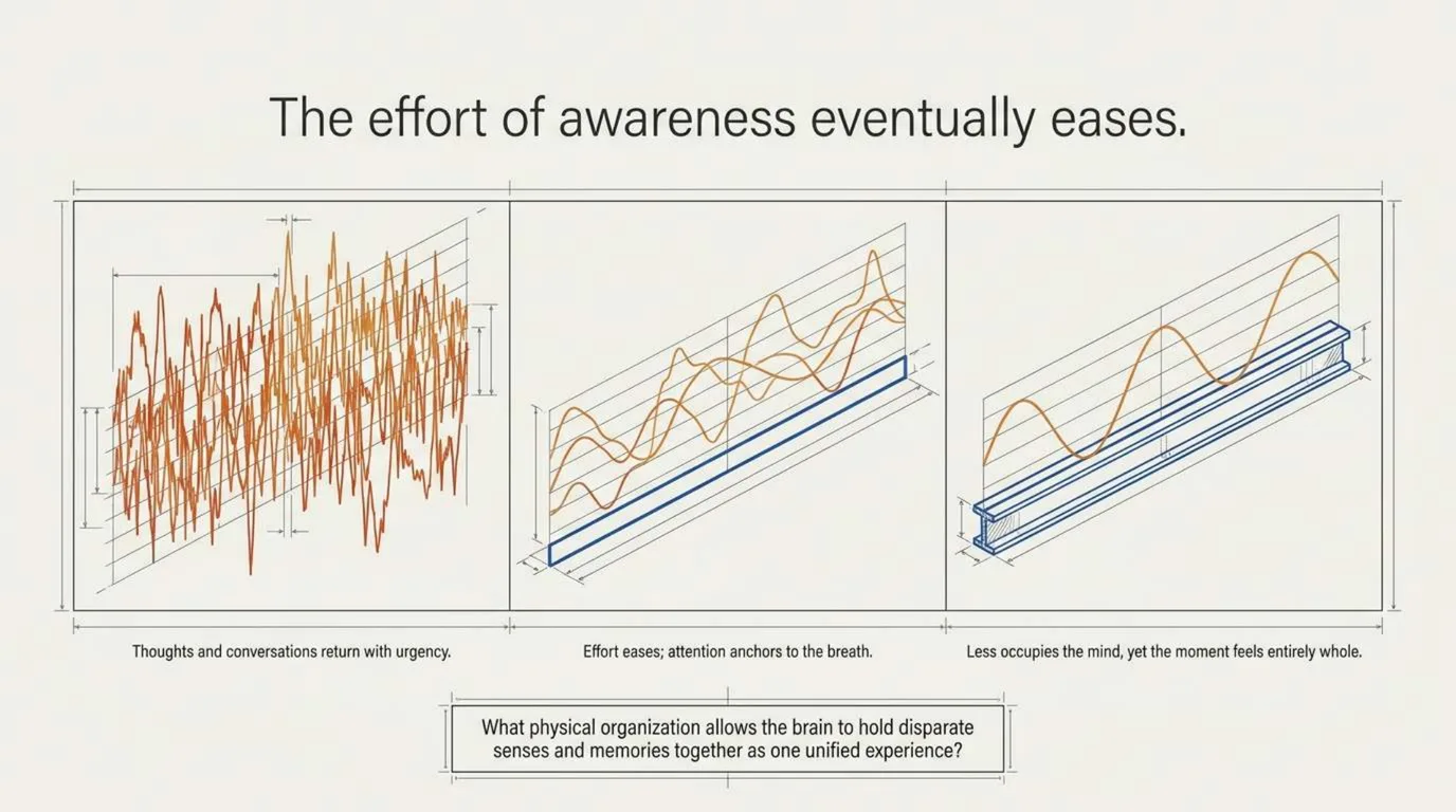 Slide titled The effort of awareness eases. Three panels: a dense tangle of jagged orange signal lines captioned Thoughts and conversations return with urgency; a few smoother lines above a blue beam captioned Effort eases, attention anchors to the breath; a single smooth wave above a blue beam captioned Less occupies the mind, yet the moment feels entirely whole.